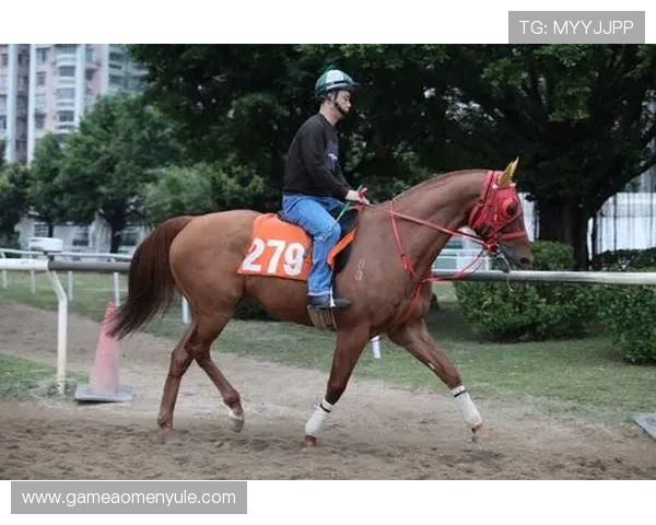 澳门赛马玩法详解:新手入门必读的完整攻略 澳门赛马玩法详解:新手入门必读的完整攻略