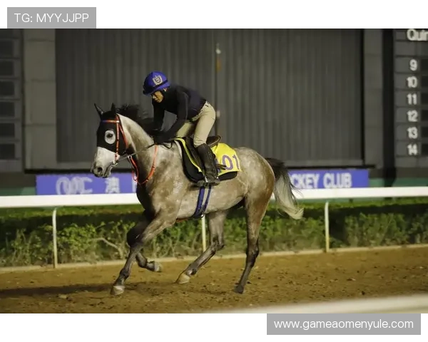 丰富的澳门赛马资讯内容，涵盖历史回顾、赛事分析和赛马新闻，做最专业的赛马信息平台