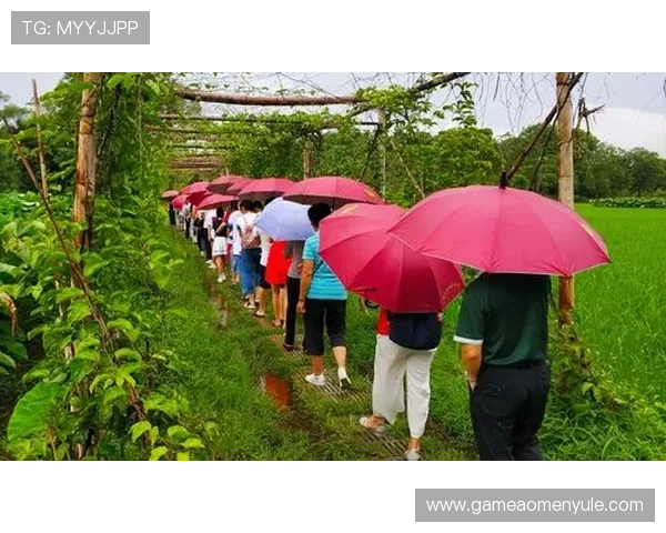 掌握欧博真人首页网址的官方登录路径，轻松开启多元真人娱乐新体验
