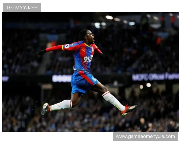 水晶宫足球队队员官网提供专业的伤病恢复和训练计划介绍